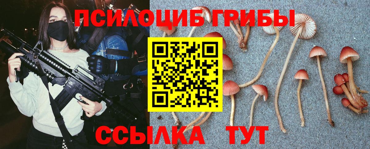Гатчина  Cocaine  Канабис  Меф МЯУ МЯУ кристаллы  Вход с VPN  ГАШ  Метамфетамин 