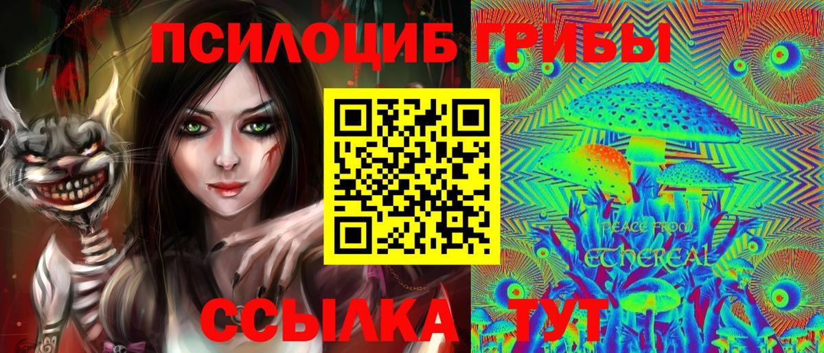 Гатчина  Псилоцибиновые грибы прущие грибы  Вход с VPN 